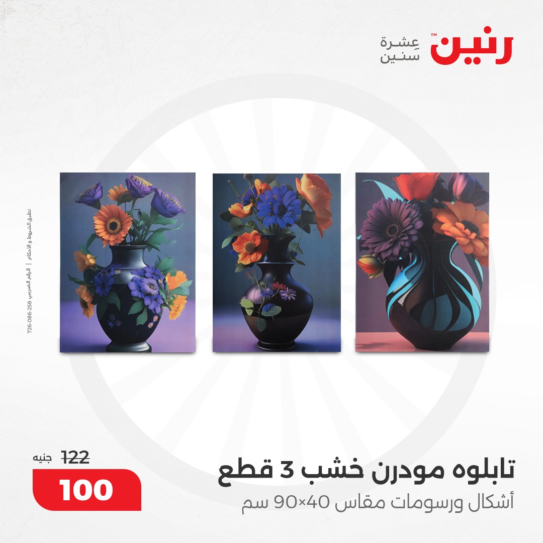 raneen offers from 8dec to 9dec 2024 عروض رنين من 8 ديسمبر حتى 9 ديسمبر 2024 صفحة رقم 51